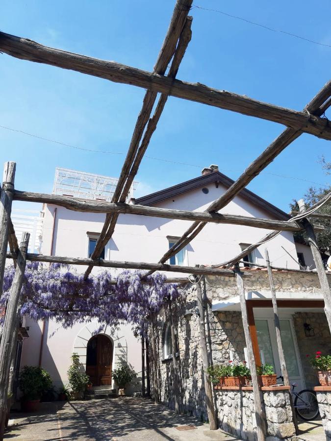 Shedir Lägenhet Vico Equense Exteriör bild